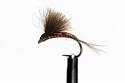Fly