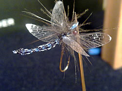 Fly