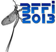 British Fly Fair International - BFFI