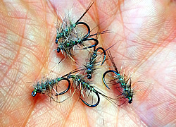 Fly