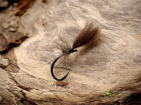 Fly