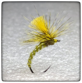 Fly