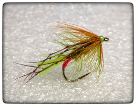 Fly