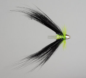 Fly
