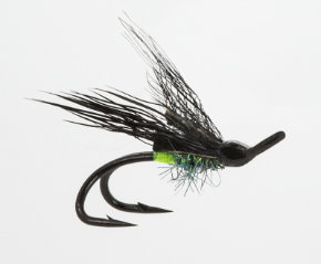 Fly
