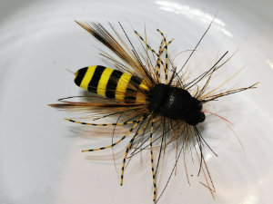 Fly