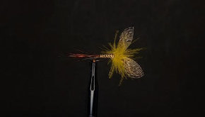 Fly