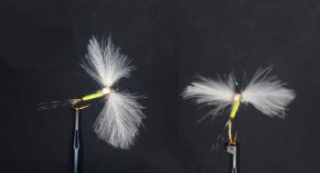 Fly