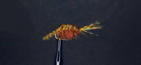 Fly