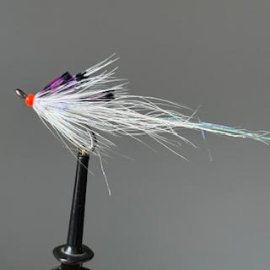 Fly