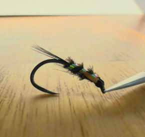Fly