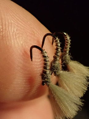 Fly