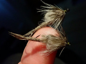 Fly