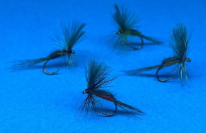 Fly