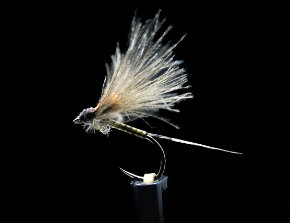 Fly