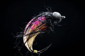 Fly