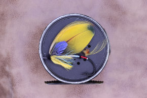 Fly