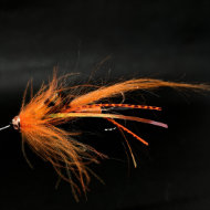 Fly